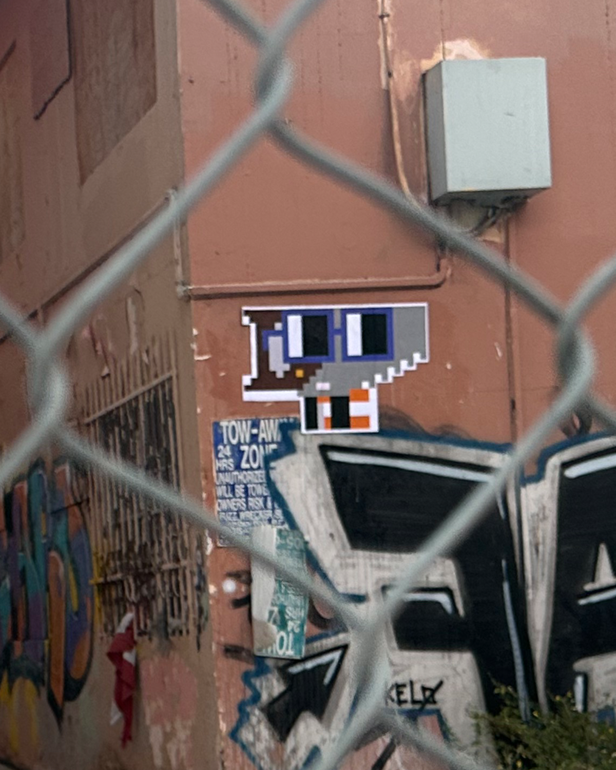 Field work supporting image 4